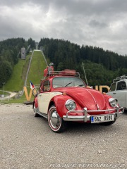 Volkswagen Brouk 11 1970
