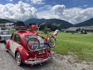 Volkswagen Brouk 11 1970