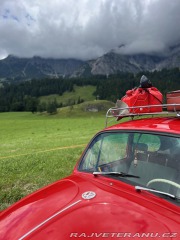 Volkswagen Brouk 11 1970
