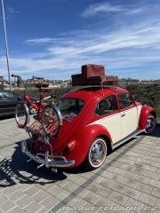 Volkswagen Brouk  1970