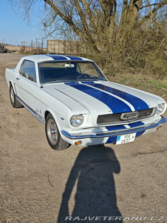 Ford Mustang  1965