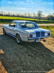 Ford Mustang  1965