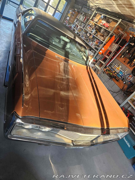 Chrysler Newport  1969