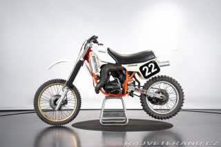   250 MX