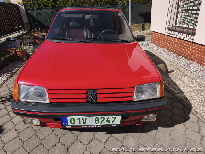 Peugeot 205 GTI 1988
