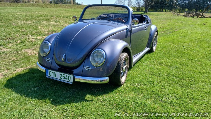 Volkswagen Brouk Speedster 1973