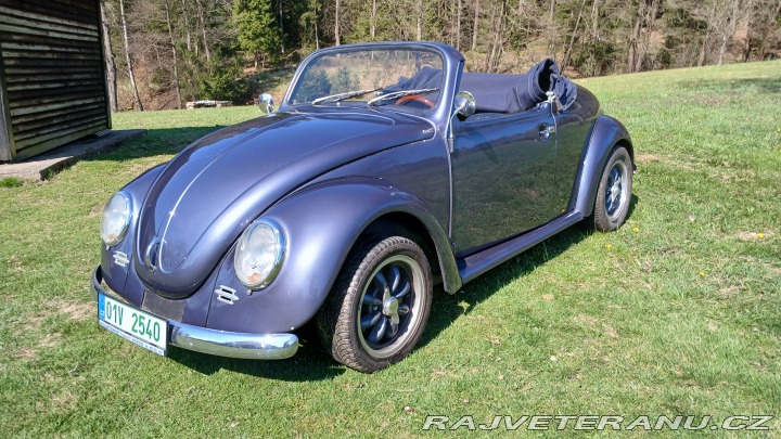 Volkswagen Brouk Speedster 1973