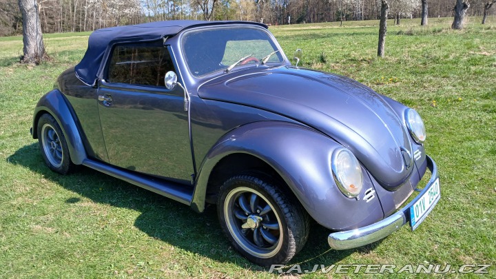 Volkswagen Brouk Speedster 1973