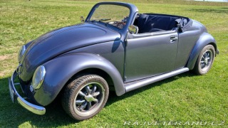 Volkswagen Brouk Speedster 1973