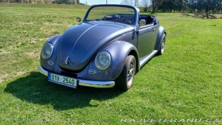 Volkswagen Brouk Speedster 1973