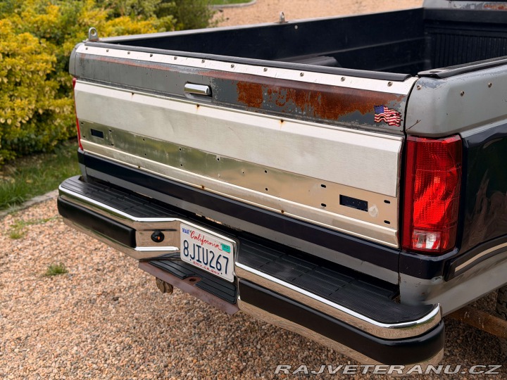 Ford F 150 5.0 V8 4x4 | XLT 1989