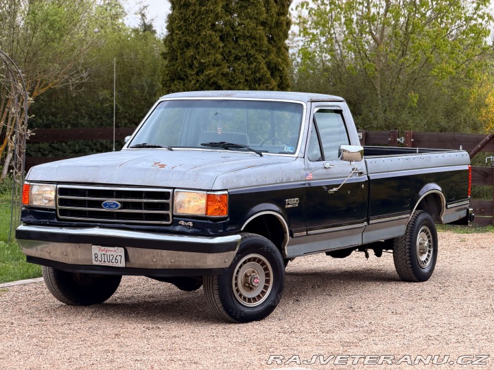 Ford F 150 5.0 V8 4x4 | XLT 1989