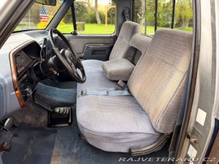 Ford F 150 5.0 V8 4x4 | XLT 1989