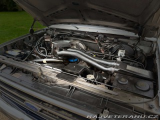 Ford F 150 5.0 V8 4x4 | XLT 1989