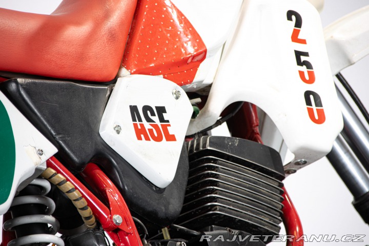 Ostatní značky Ostatní modely 250 ASE 1986