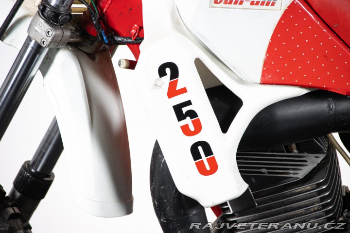 Ostatní značky Ostatní modely 250 ASE 1986