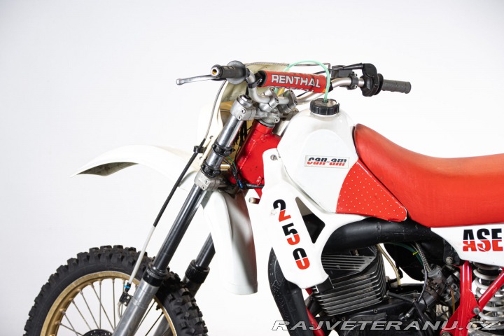 Ostatní značky Ostatní modely 250 ASE 1986