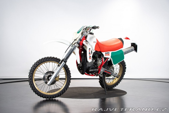 Ostatní značky Ostatní modely 250 ASE 1986