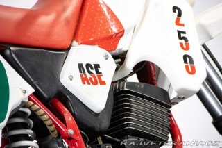 Ostatní značky Ostatní modely 250 ASE 1986