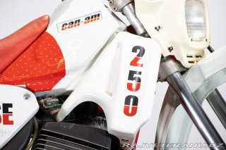 Ostatní značky Ostatní modely 250 ASE 1986