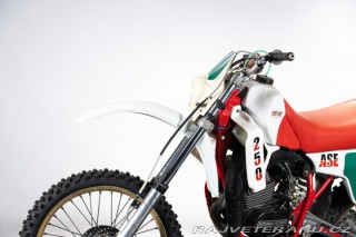 Ostatní značky Ostatní modely 250 ASE 1986