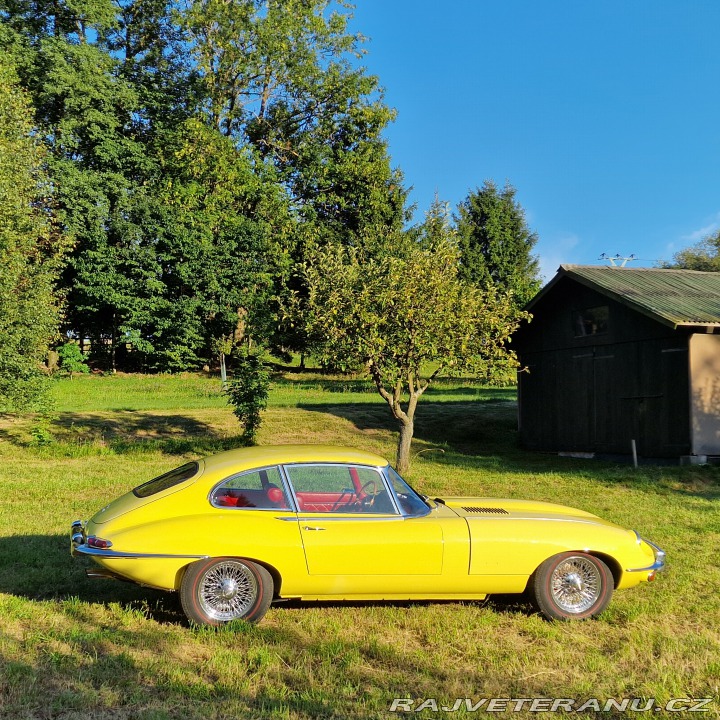 Jaguar E-Type Jaguar E-Type 1 Série 4,2 1968