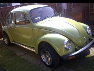 Volkswagen Brouk Mexiko