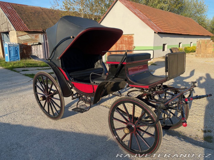 Ostatní značky Ostatní modely Kočár a saně 1900