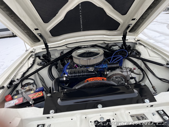 Ford Thunderbird  1966