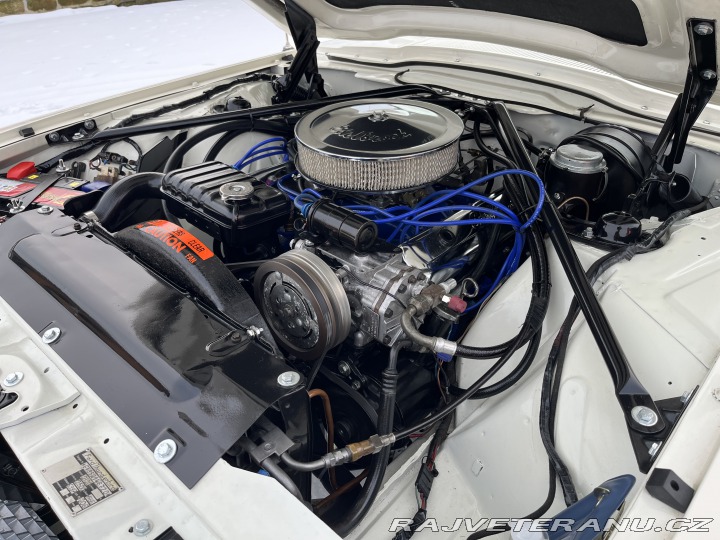 Ford Thunderbird  1966