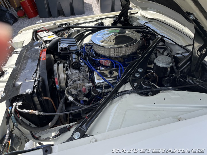 Ford Thunderbird  1966