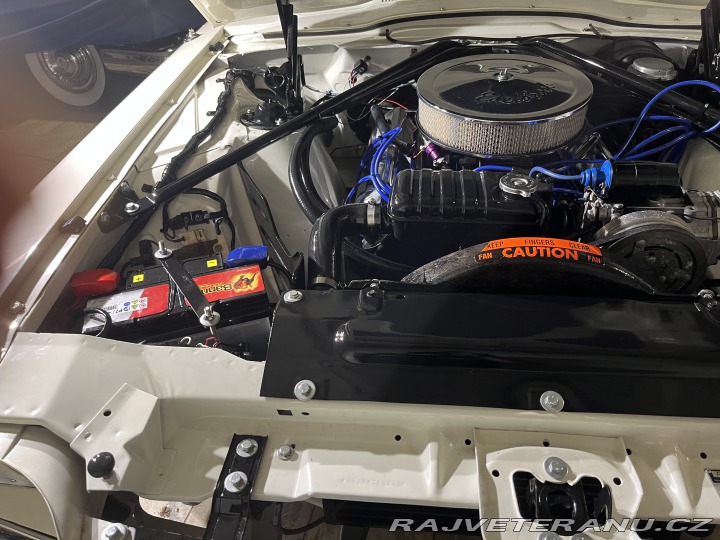 Ford Thunderbird  1966