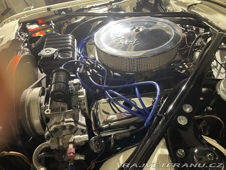 Ford Thunderbird  1966