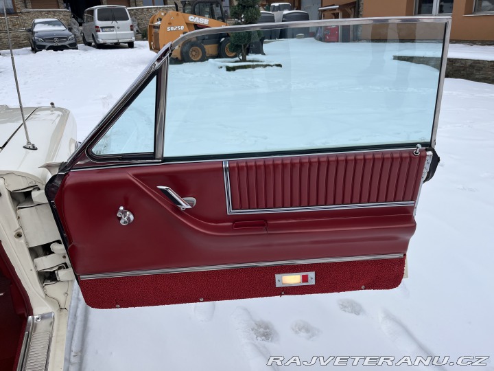 Ford Thunderbird  1966