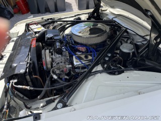 Ford Thunderbird  1966