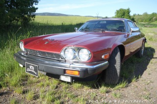Jaguar XJS 
