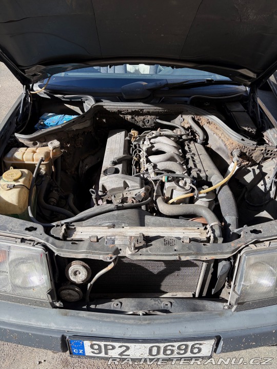 Mercedes-Benz Ostatní modely W124 250D 1988