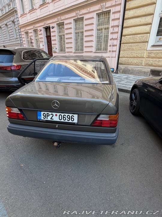 Mercedes-Benz Ostatní modely W124 250D 1988