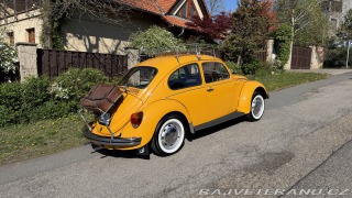 Volkswagen Brouk 1200, Typ 1