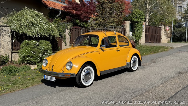 Volkswagen Brouk 1200, Typ 1 1974