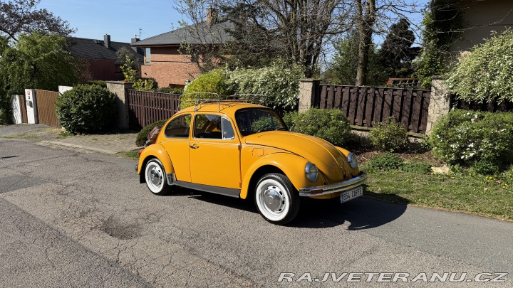 Volkswagen Brouk 1200, Typ 1 1974