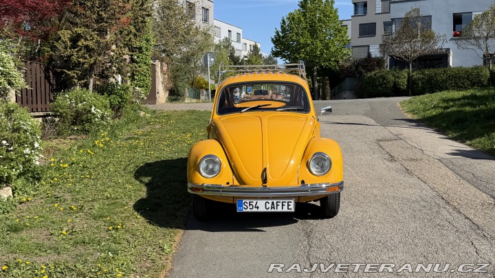 Volkswagen Brouk 1200, Typ 1 1974