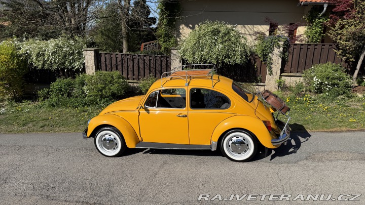 Volkswagen Brouk 1200, Typ 1 1974