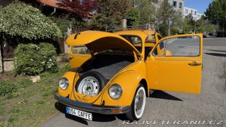 Volkswagen Brouk 1200, Typ 1 1974