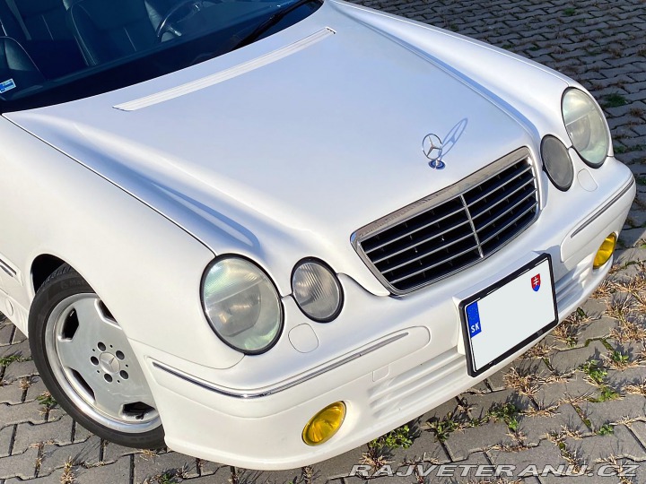 Mercedes-Benz E S210 2001