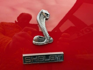 Ford Y Shelby GT 350 1970