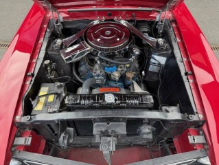 Ford Y Shelby GT 350 1970