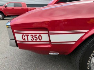 Ford Y Shelby GT 350 1970