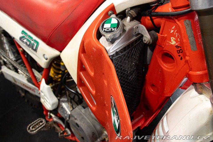 Ostatní značky Ostatní modely Puch INDOOR 250 1986