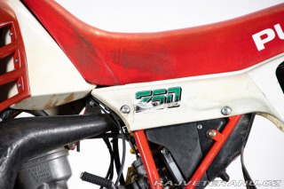 Ostatní značky Ostatní modely Puch INDOOR 250 1986